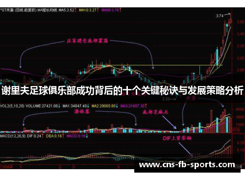 谢里夫足球俱乐部成功背后的十个关键秘诀与发展策略分析 谢里夫足球俱乐部成功背后的十个关键秘诀与发展策略分析