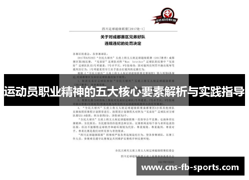 运动员职业精神的五大核心要素解析与实践指导