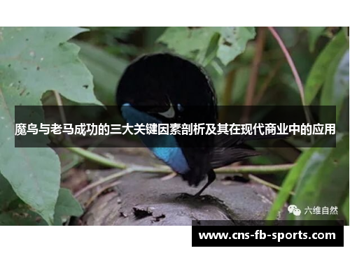 魔鸟与老马成功的三大关键因素剖析及其在现代商业中的应用 魔鸟与老马成功的三大关键因素剖析及其在现代商业中的应用